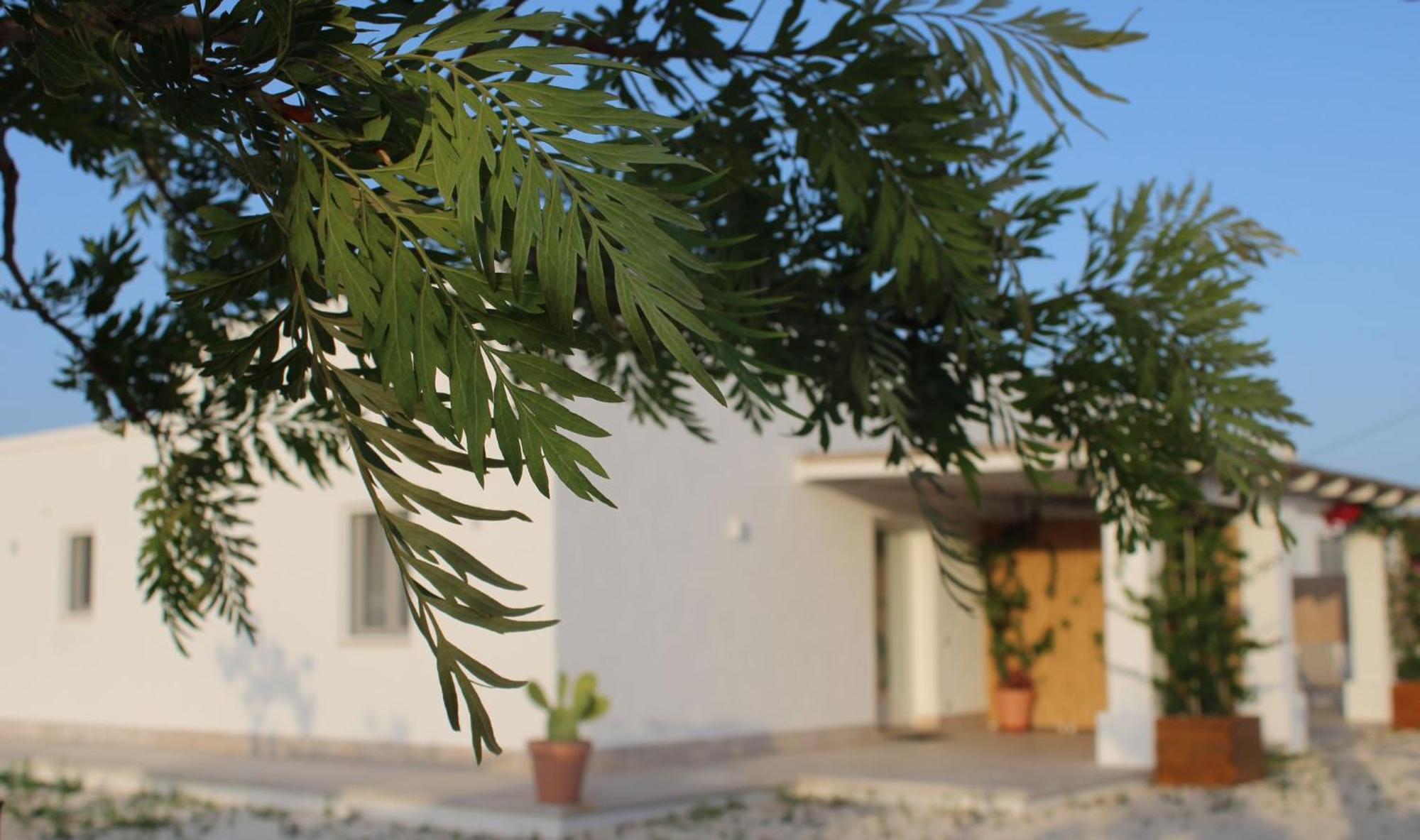 Villa Susca - Villa Sul Mare Монополи Экстерьер фото